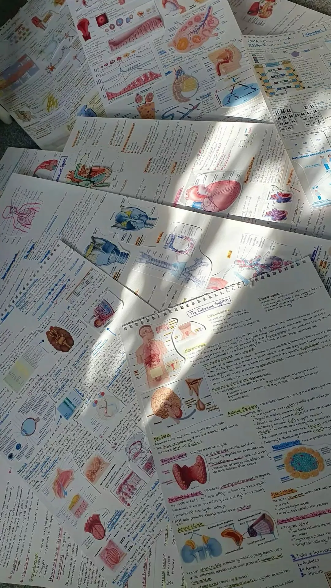 ⁦طباعه ورق عادي مع لون⁩ - الصورة ⁦2⁩